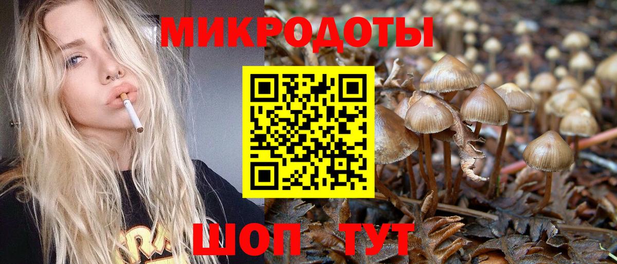 Галлюциногенные грибы мицелий  Вход с VPN  Псилоцибиновые грибы Psilocybe  Гусиноозёрск 